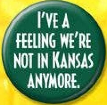 Wizard of Oz Button/Lapel Pins