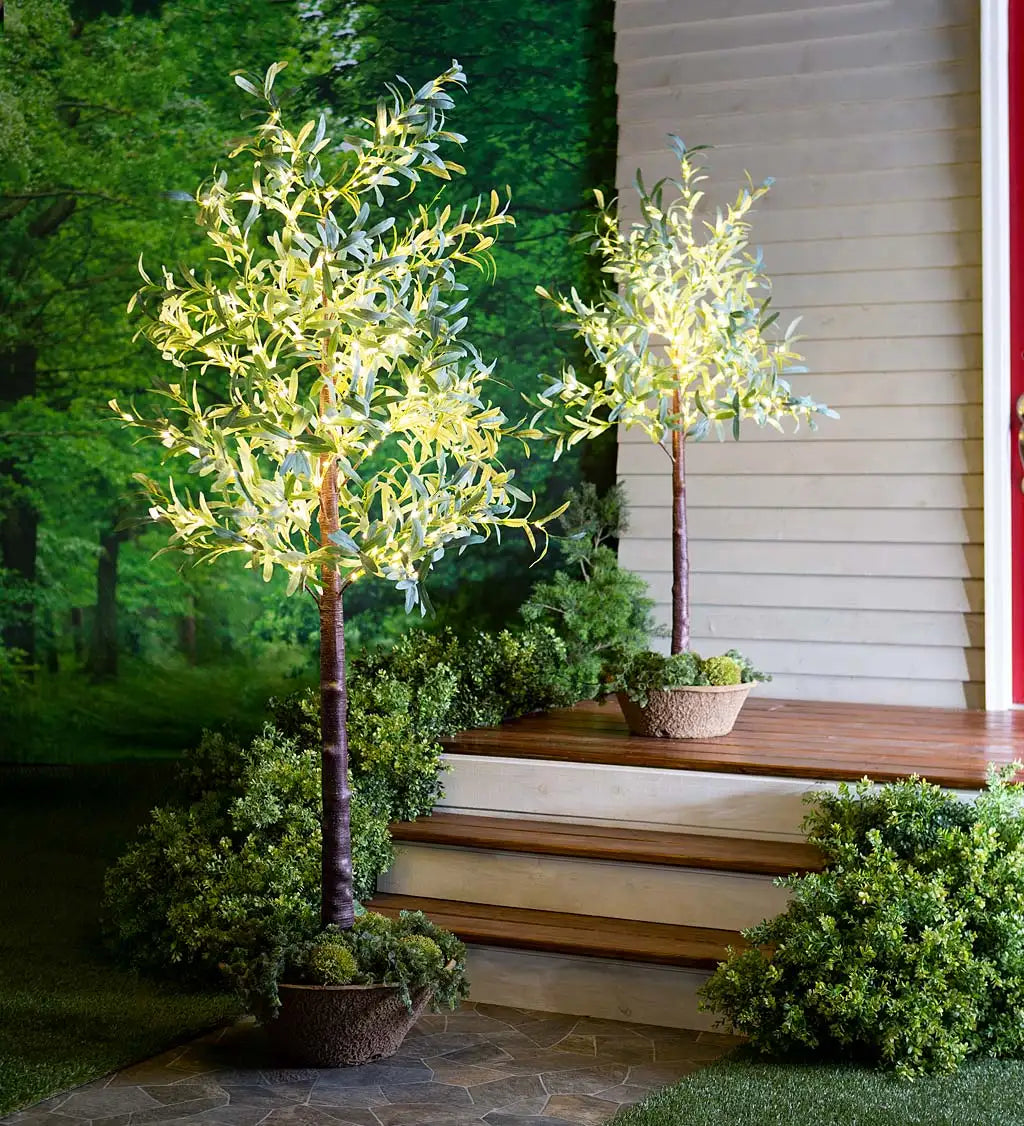 Small Lighted Faux Olive Tree