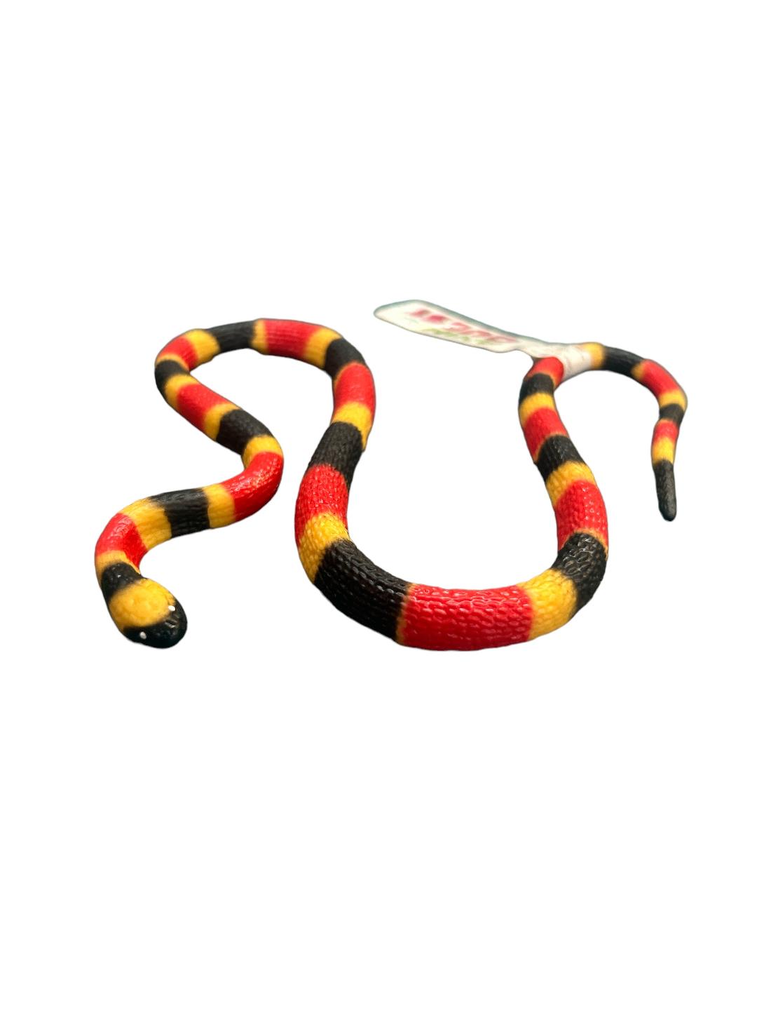 Snake Red, Black and Yellow Animal Quest