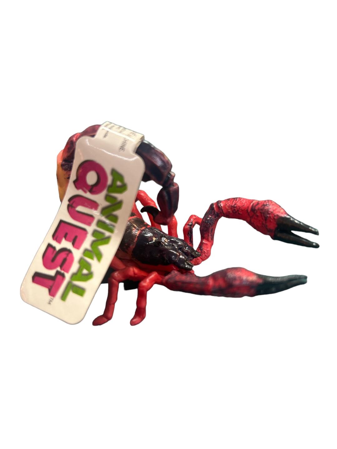 Scorpion Animal Quest