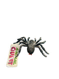 Tarantula Animal Quest