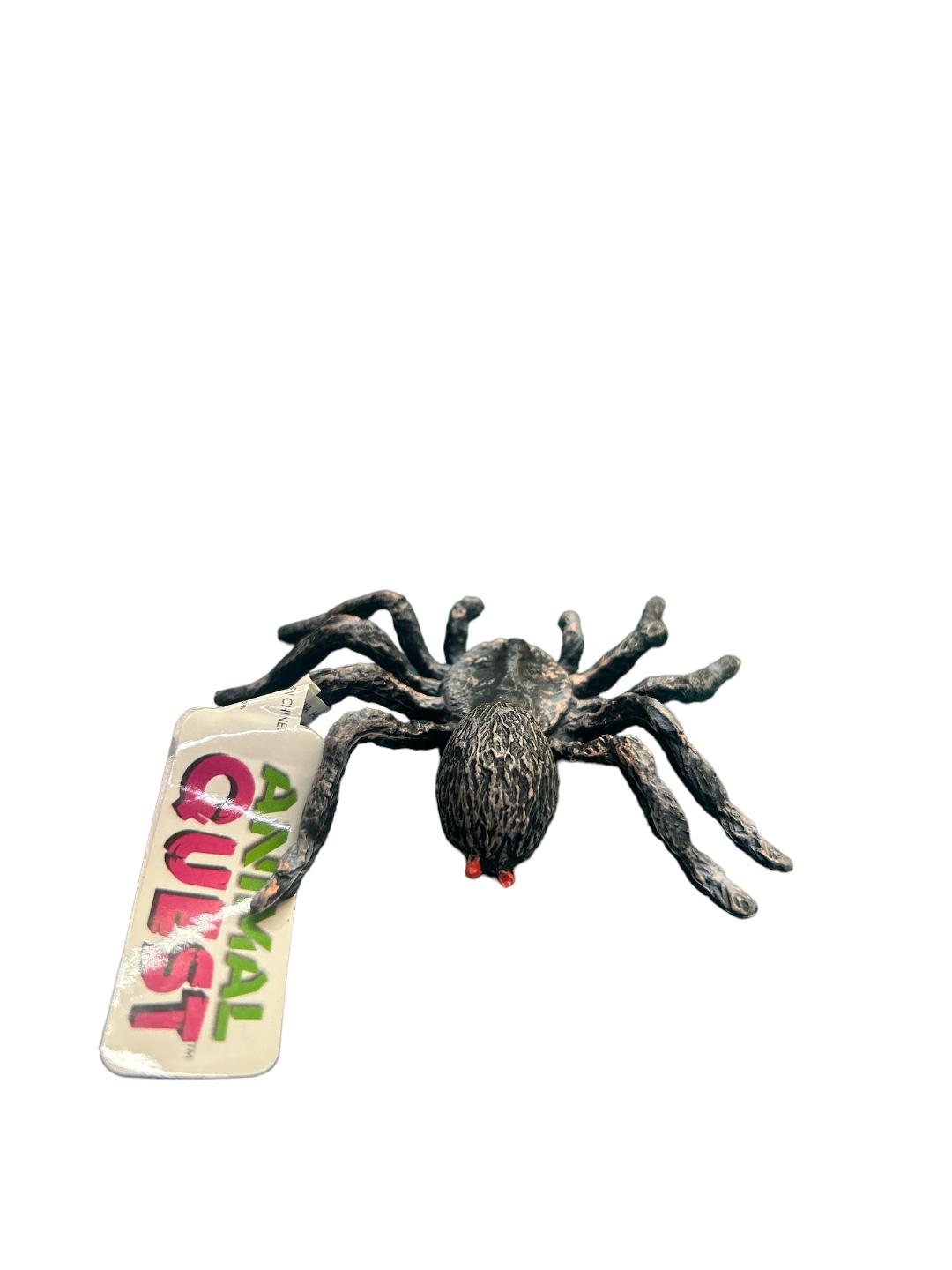 Tarantula Animal Quest