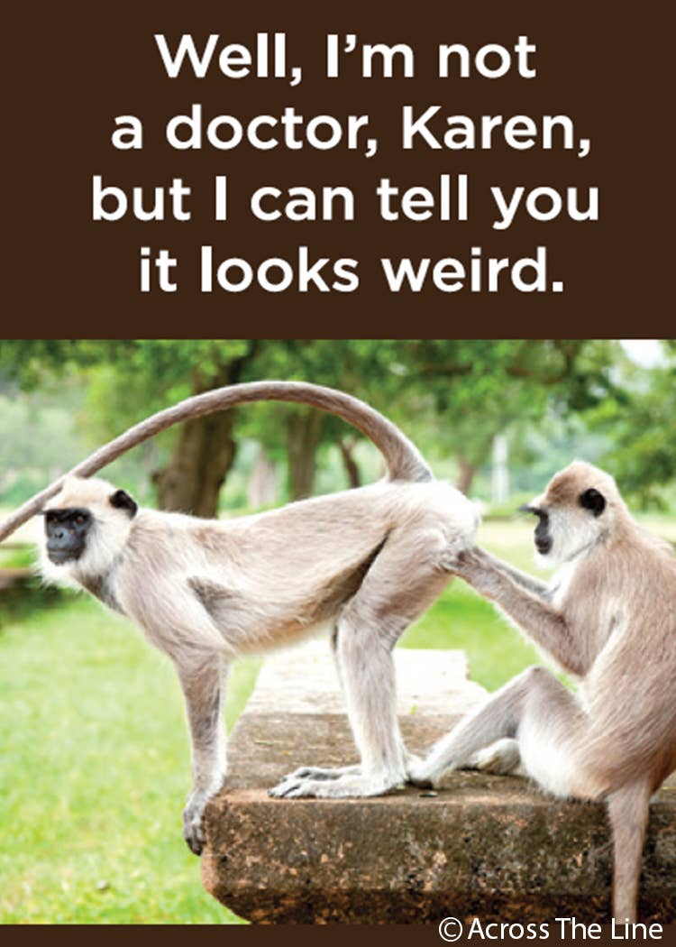 Well, I'm Not a Doctor Karen..Magnet