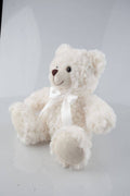 Cream Teddy Bear