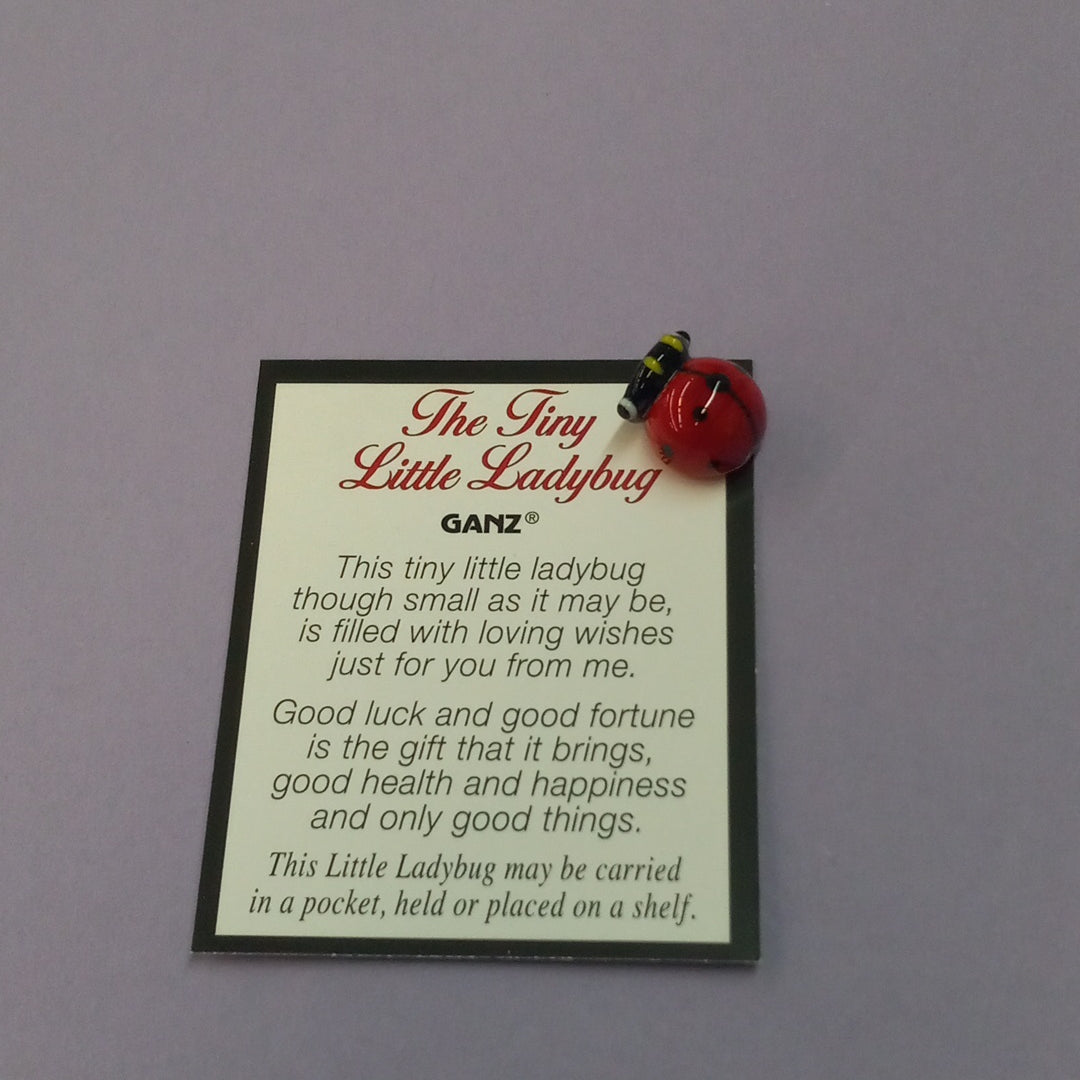 Ladybug Pocket Charm