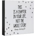 This is a Chapter Square Sitter