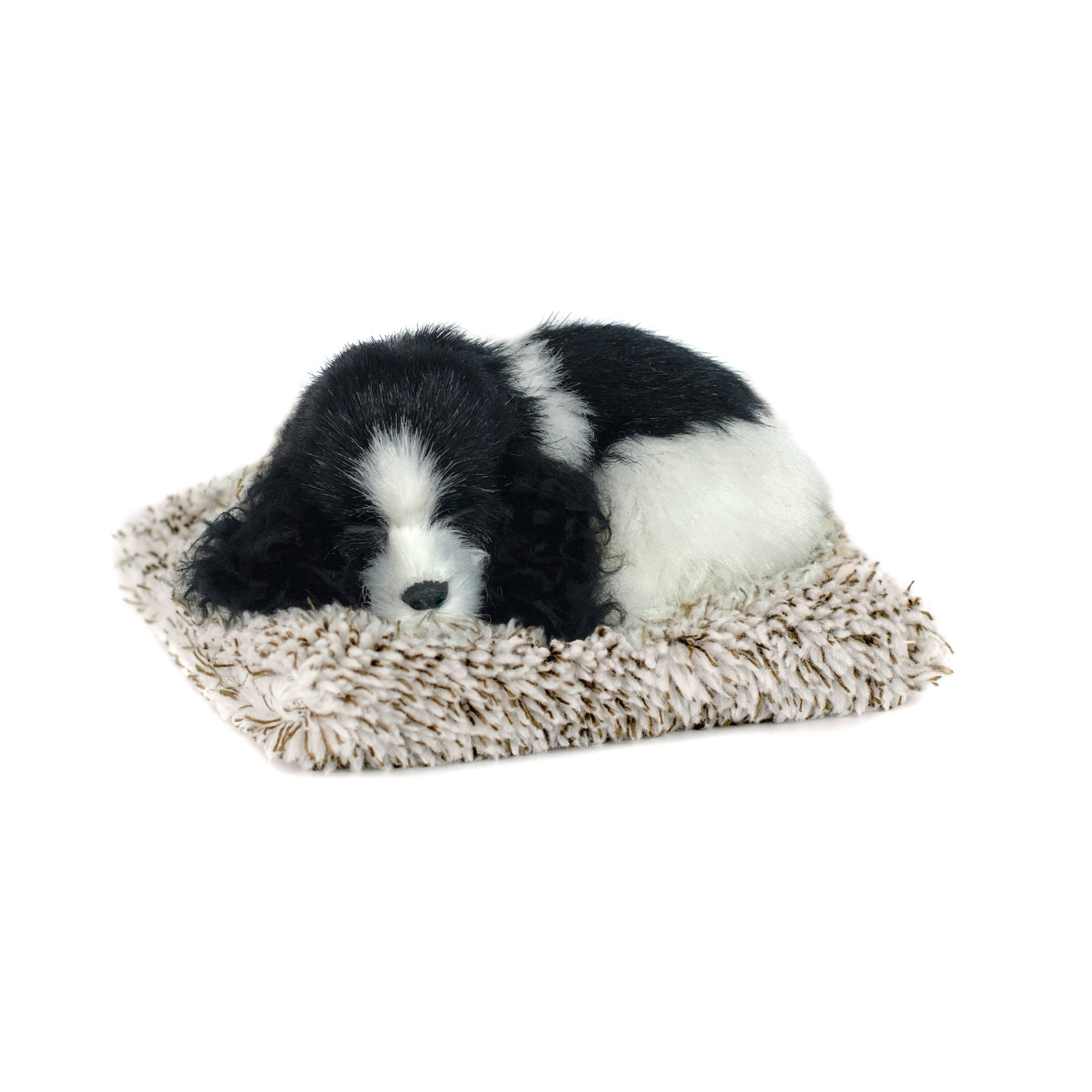 Cocker Spaniel Mini