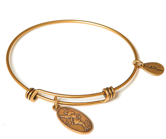 Fairy Expandable Bangle Charm Bracelet
