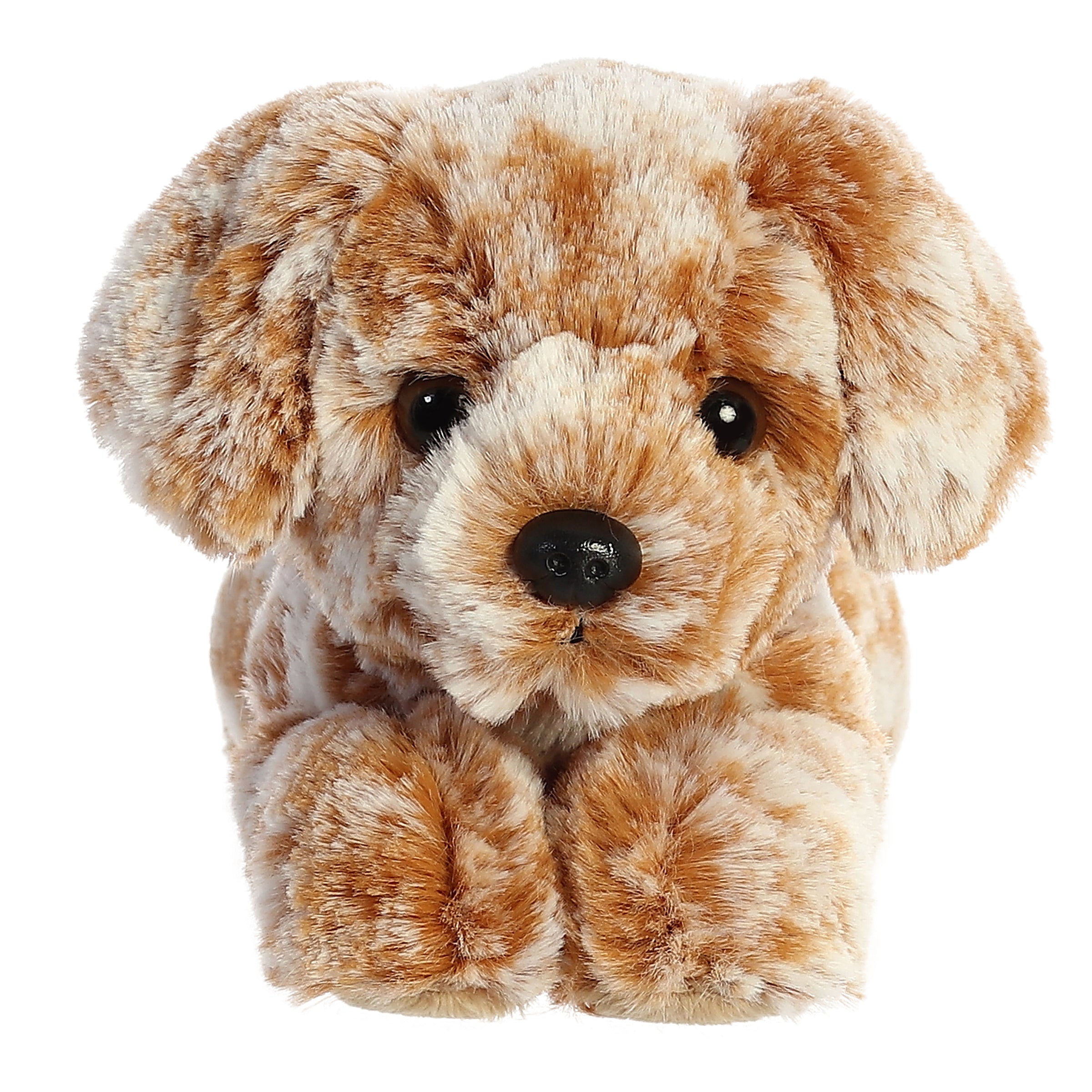 Chocolate Lab Coco Plush