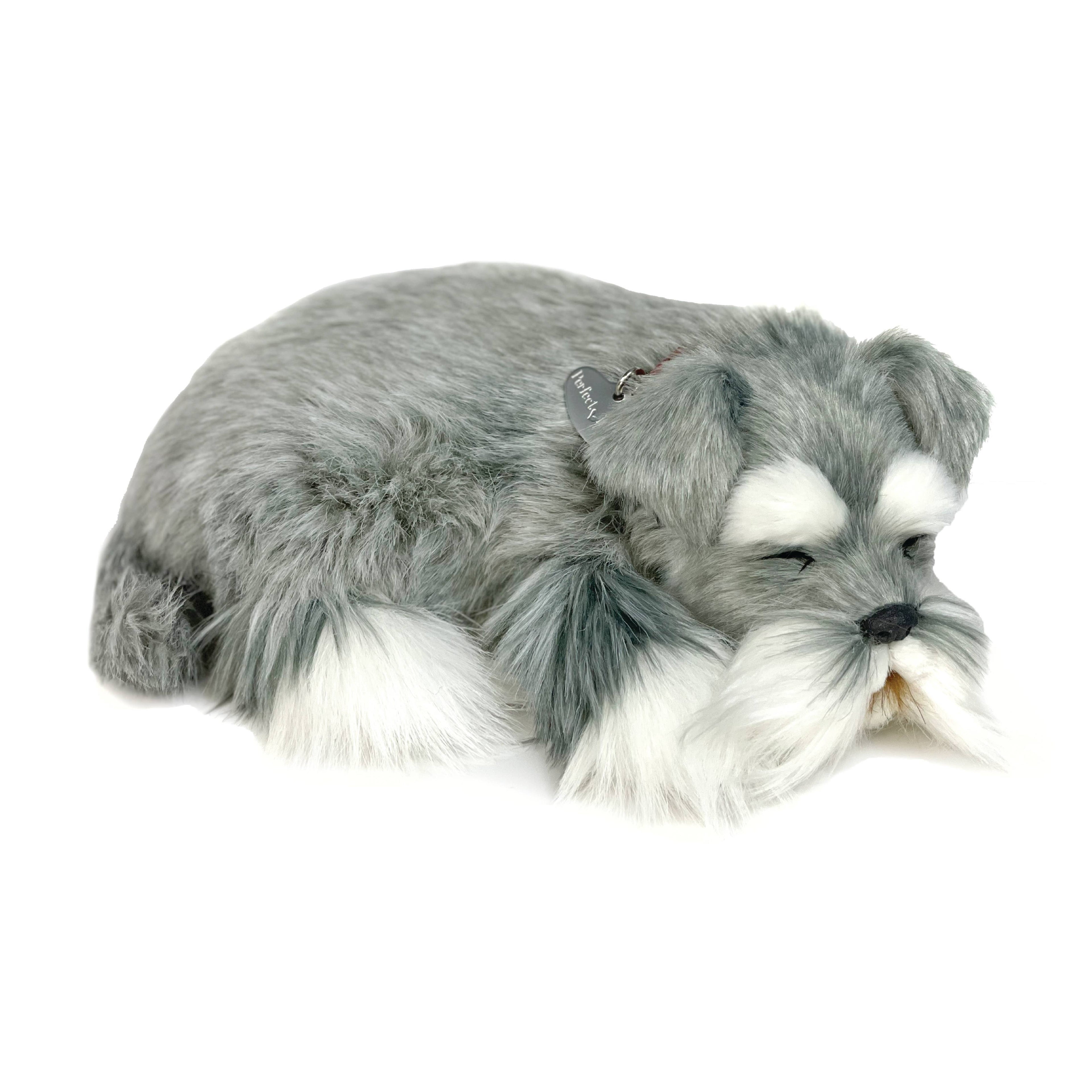 Schnauzer Lg