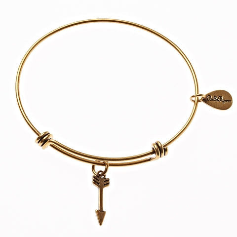 Arrow Expandable Bangle Charm Bracelet