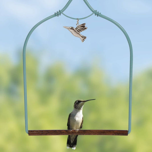 Pop's Birding - POP'S Charmed Hummingbird Swing (Teal)