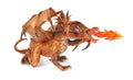 Two Headed Gold Dragon Figurine