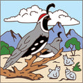 Quail/Babies Tile