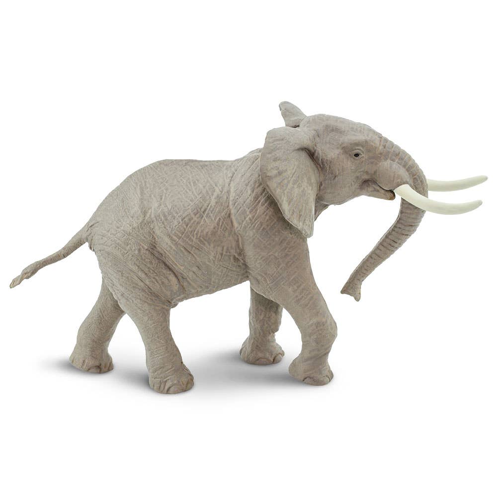 Elephant African Bull