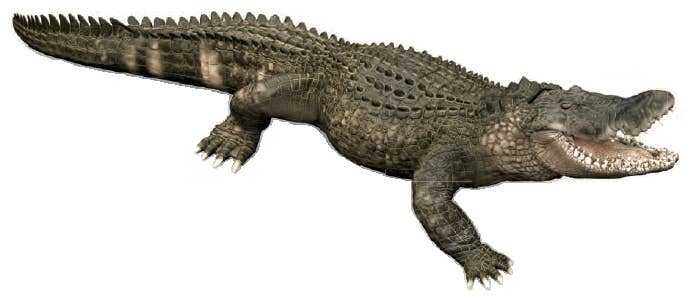 Alligator Figurine