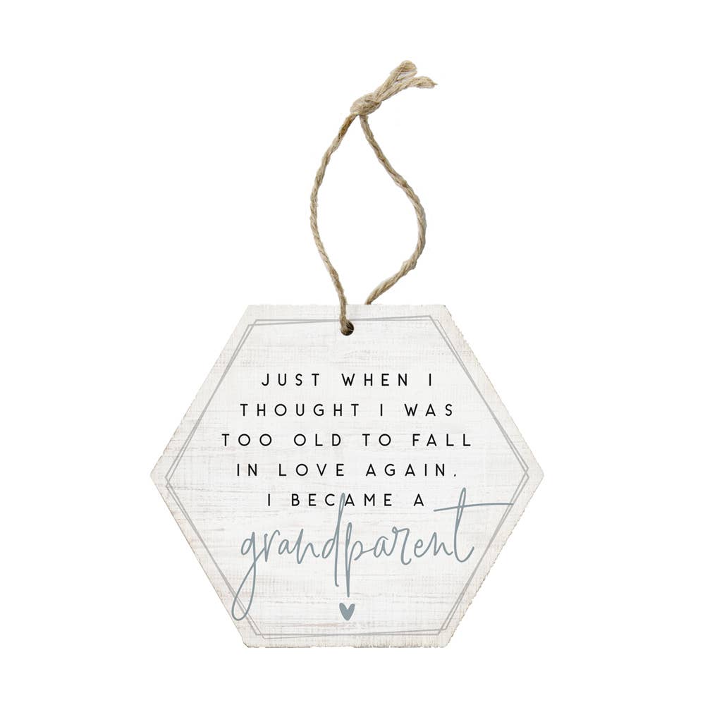 Just When I Thought I Was Too Old..Ornament