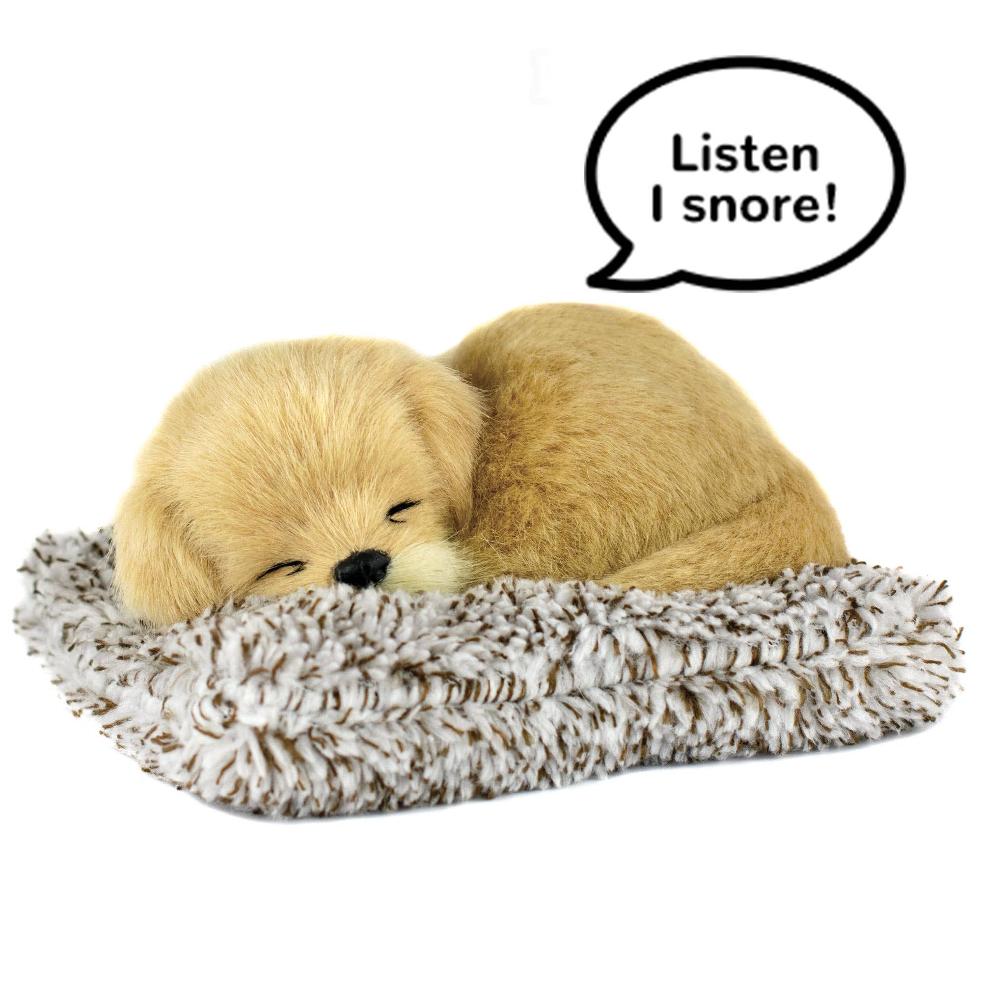 Golden Retriever Mini