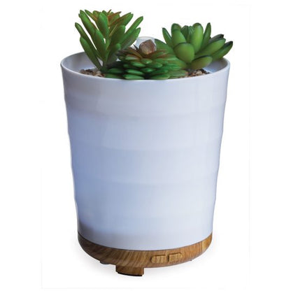 Potted Succulent Essential Oil Diffuser