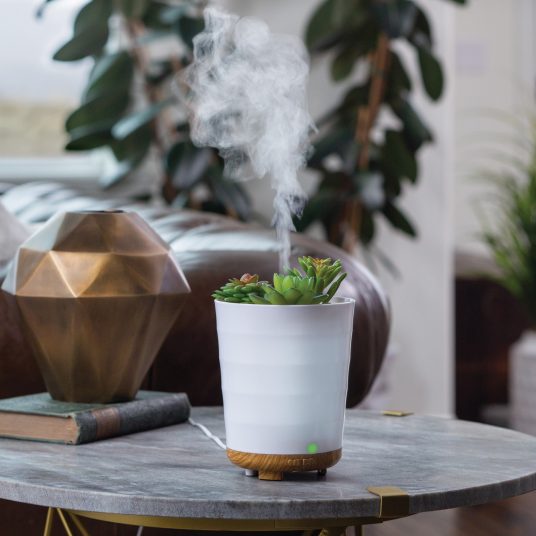 Potted Succulent Essential Oil Diffuser