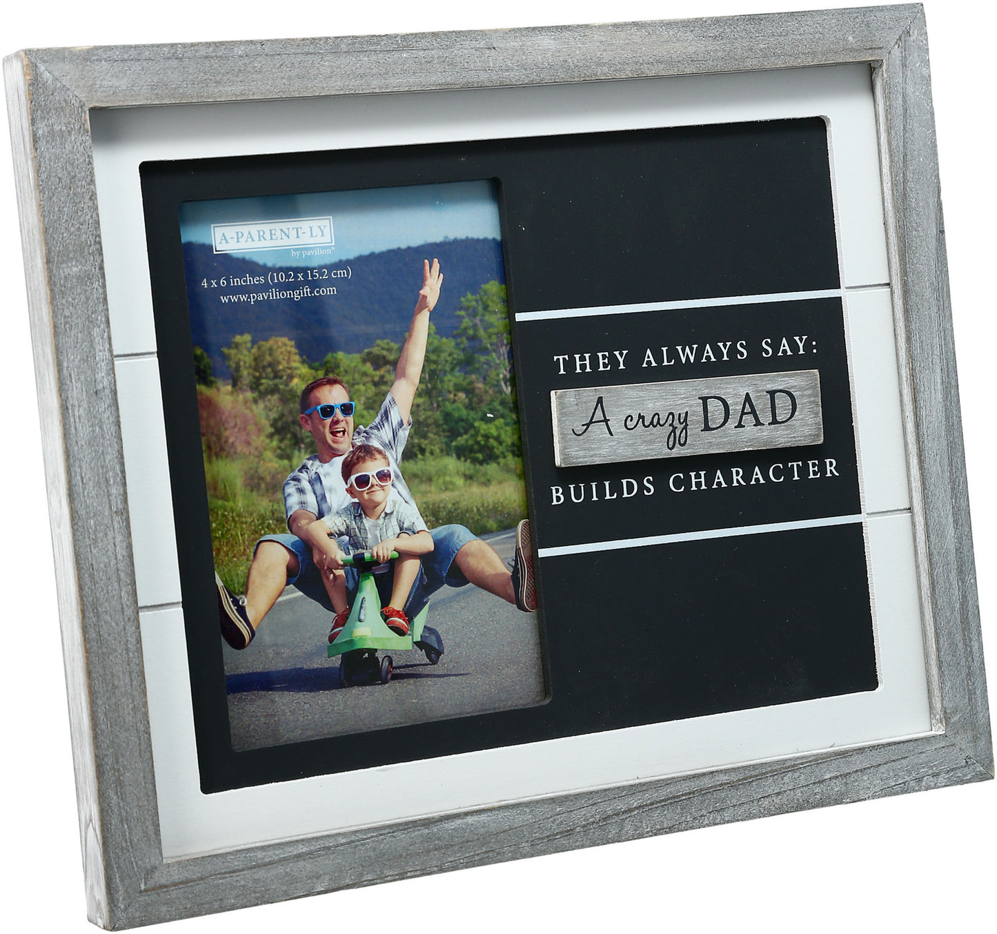 They Always Say Dad Frame