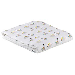 Swaddle Blanket - Dinosaur