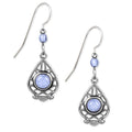 Silver Forest Blue Lace Agate Drop Earrings