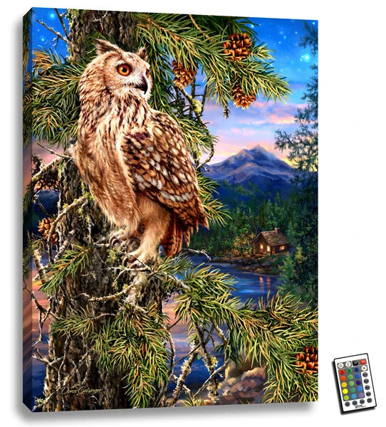 Wisdom of the Woods - Illuminated Fine Art