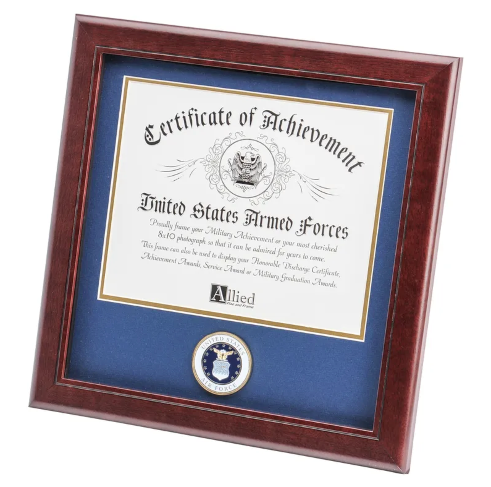 U.S. Air Force Medallion 8-Inch by 10-Inch Certificate Frame