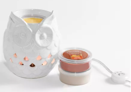 Owl Scenterpiece Wax Melter w/ LED and Timer