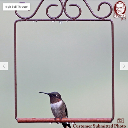 POP'S Original Hummingbird Swing (Brown)