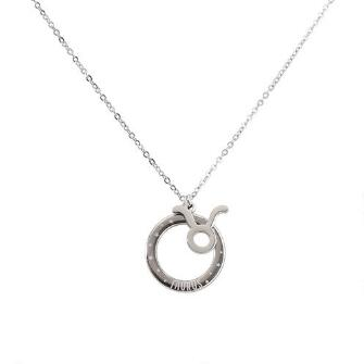Taurus Charm Necklace