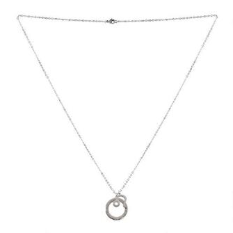 Leo Charm Necklace