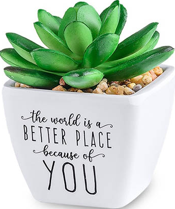 The World Is a Better Place..Sentiment Succulent