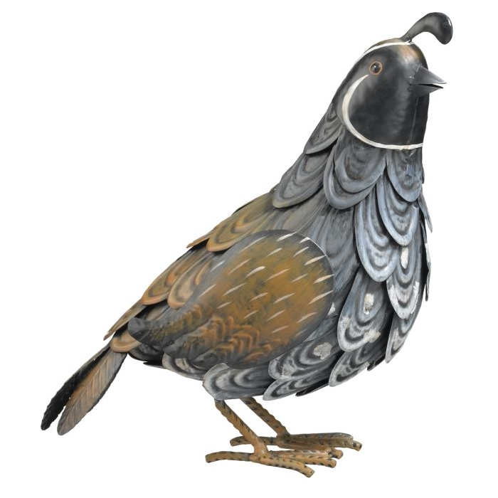 Male Quail