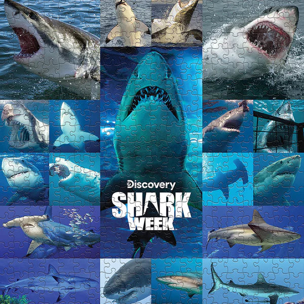 Shiver of Sharks Puzzle