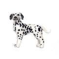 Smokey Dalmation Mini Figurine