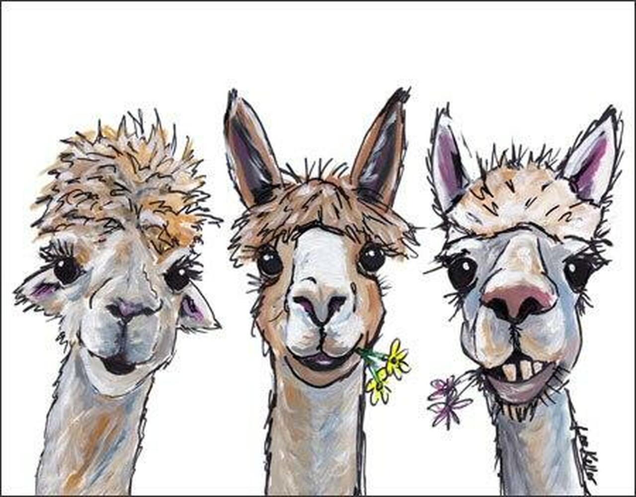 Alpaca Trio Tin Sign