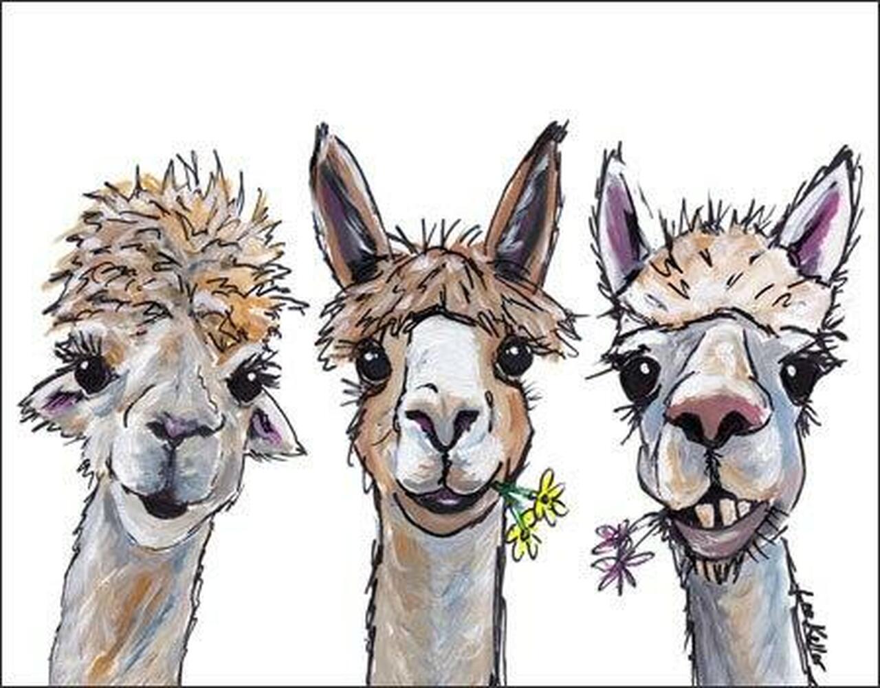 Alpaca Trio Tin Sign