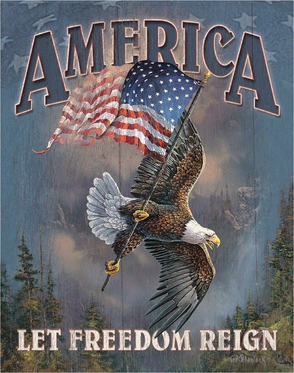 America  Let Freedom Reign Tin Sign