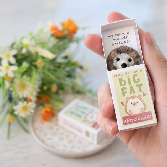 Sending You A Hedgehug In A Matchbox