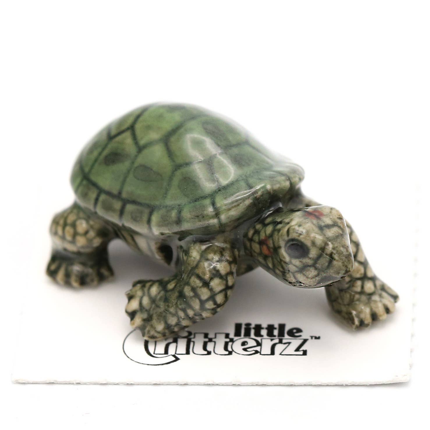 Ras Garden Turtle Figurine
