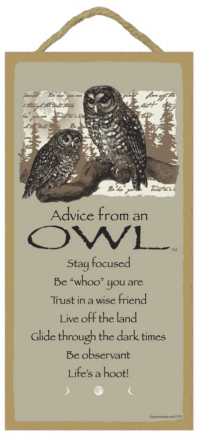 Advice from an Owl Wood Sign