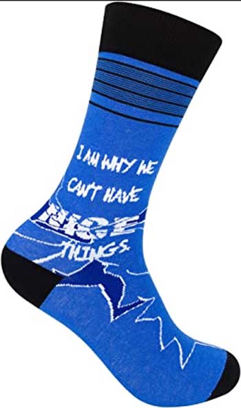 I Am Why We Can't Have Nice Things Socks