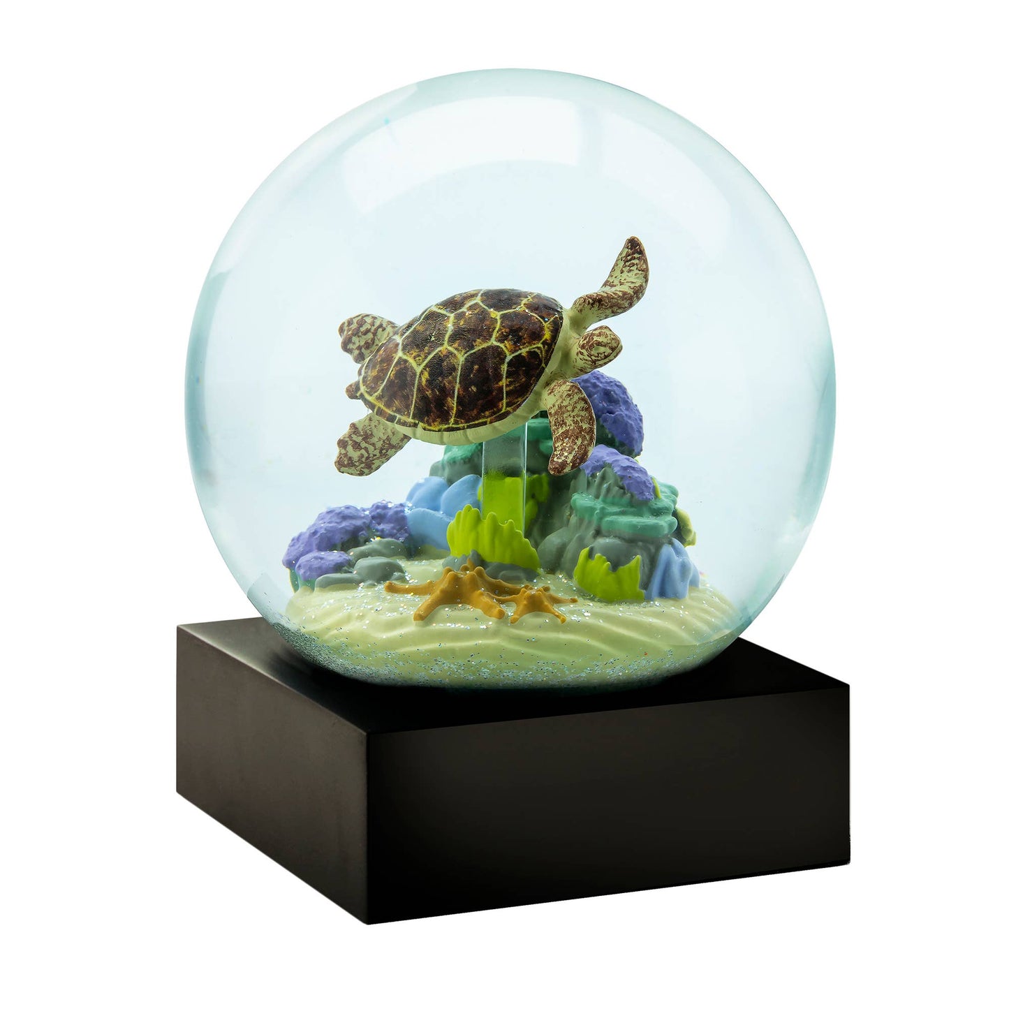 Sea Turtle Snow Globe