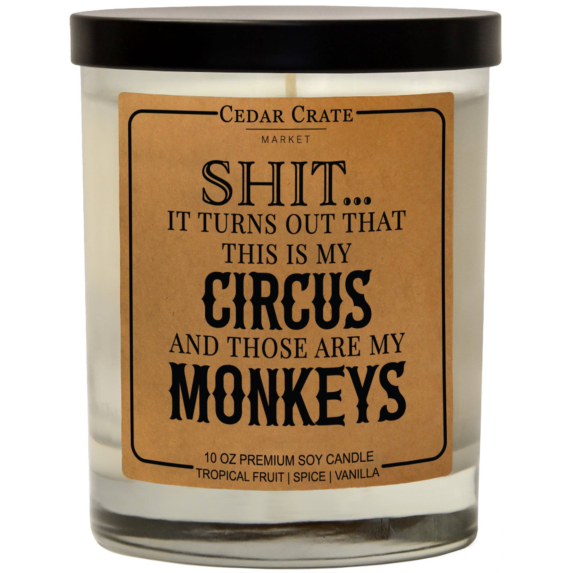 Shit… It Turns Out This Is My Circus 100% Soy Candle