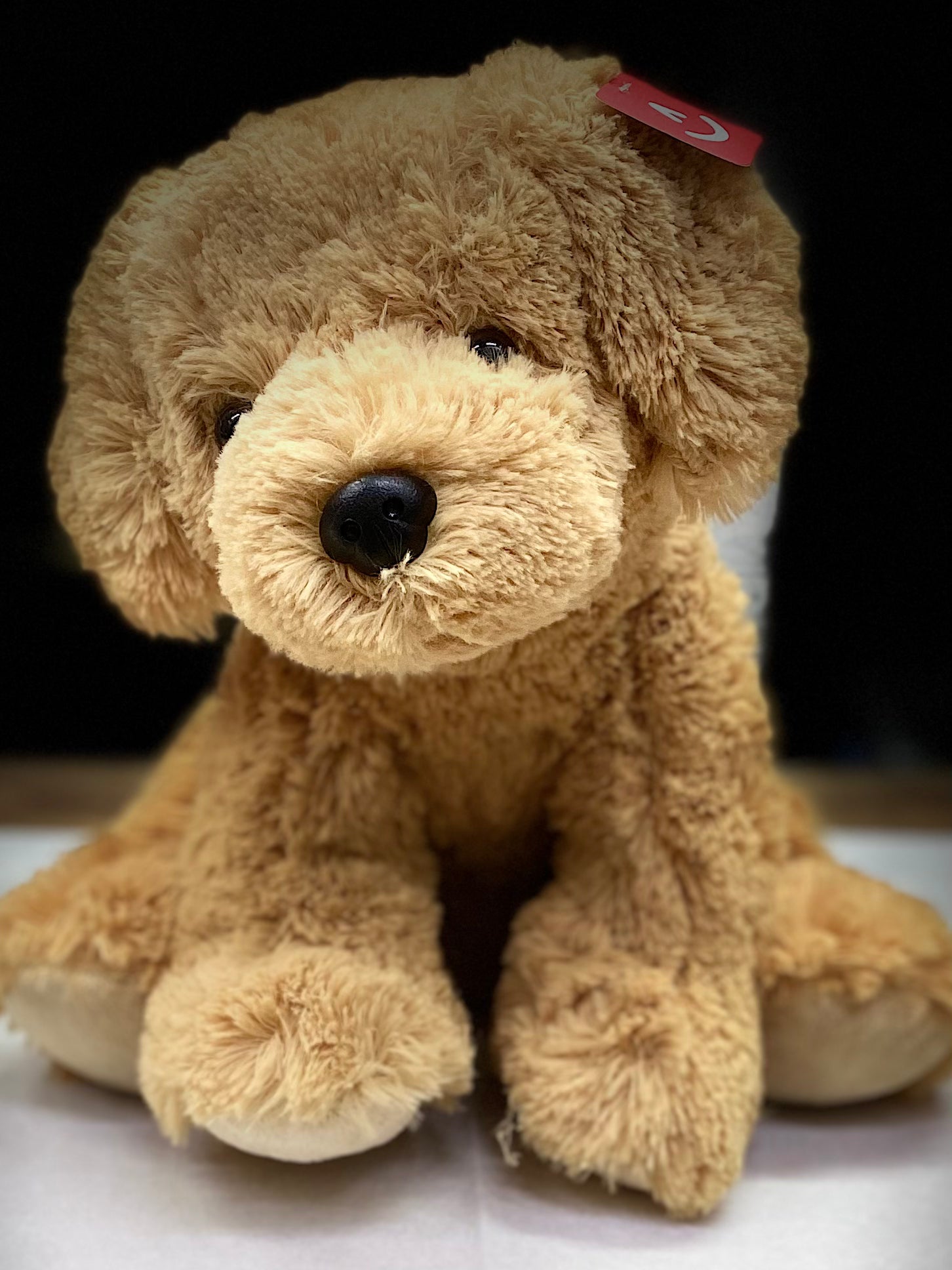 Golden Lab Plush