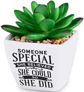 Someone Special She Belived She Could So She Did...Sentiment Succulent