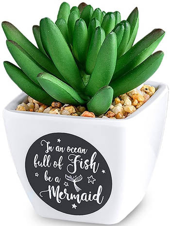 In An Ocean Full Of Fish Be A Mermaid...Sentiment Succulent