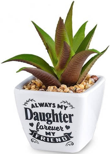 Always My Daughter Forever My Friend...Sentiment Succulents